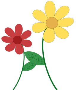 Flores